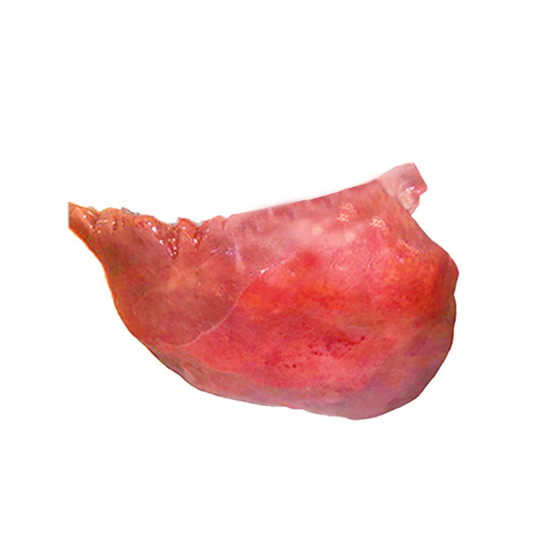 product-details